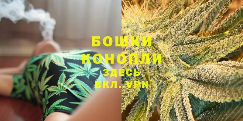 kraken зеркало  купить наркоту  Камбарка  Марихуана White Widow 